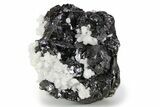 Milky Quartz Crystals on Lustrous Sphalerite (Marmatite) - Peru #252113-1
